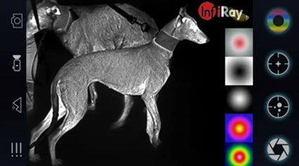 Night Vision vs Thermal Scopes